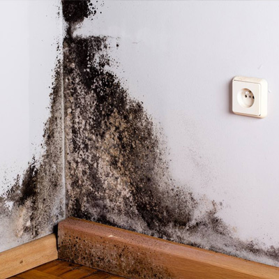 Wall cavity mold